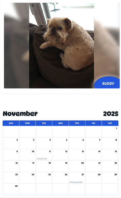 July 2025 - June 2026 Buddy - Pawidols Pet Calendar