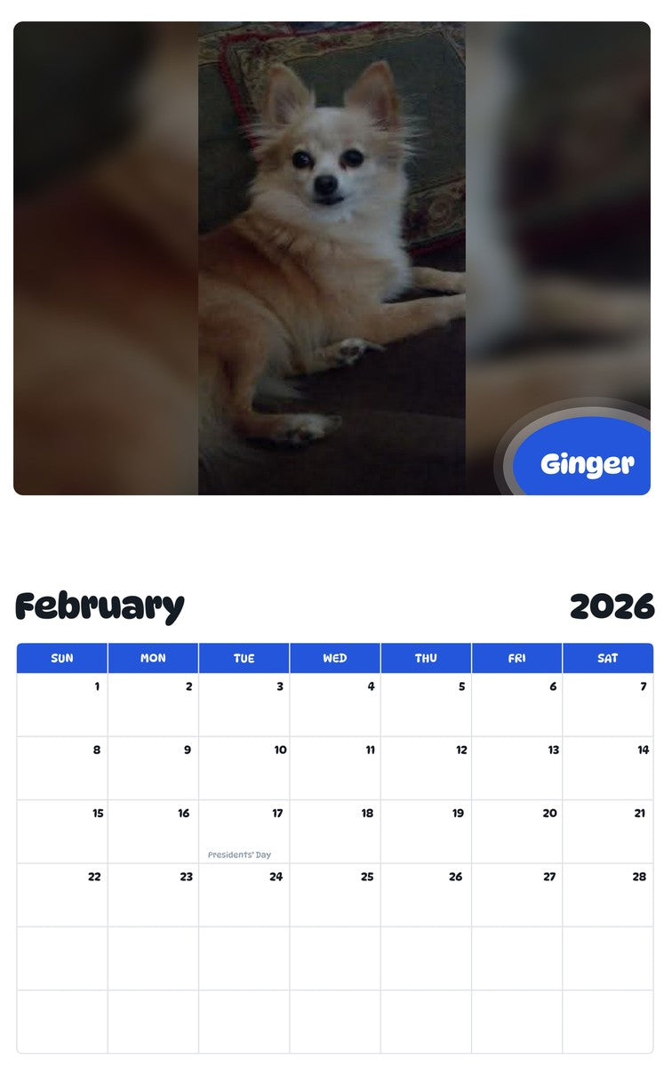 October 2025 - September 2026 Ginger - Pawidols Pet Calendar