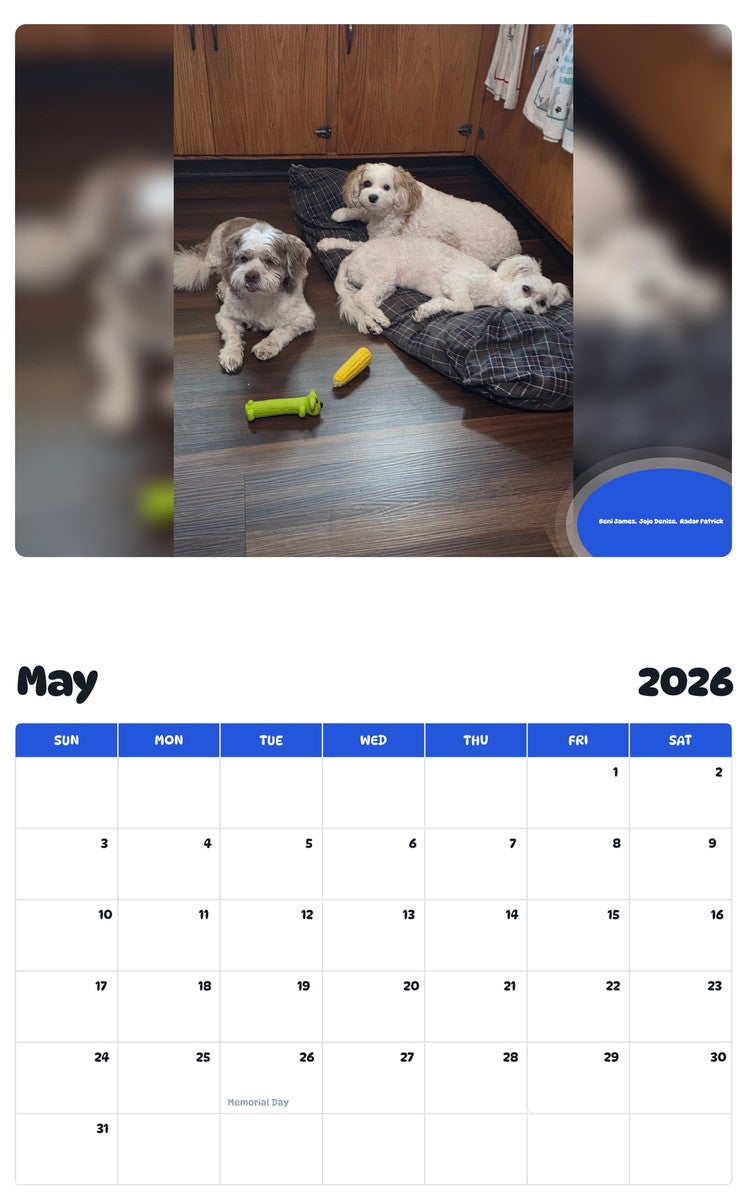 2026 - 2027 Beni James.  Jojo Denise.  Radar Patrick - Pawidols Pet Calendar