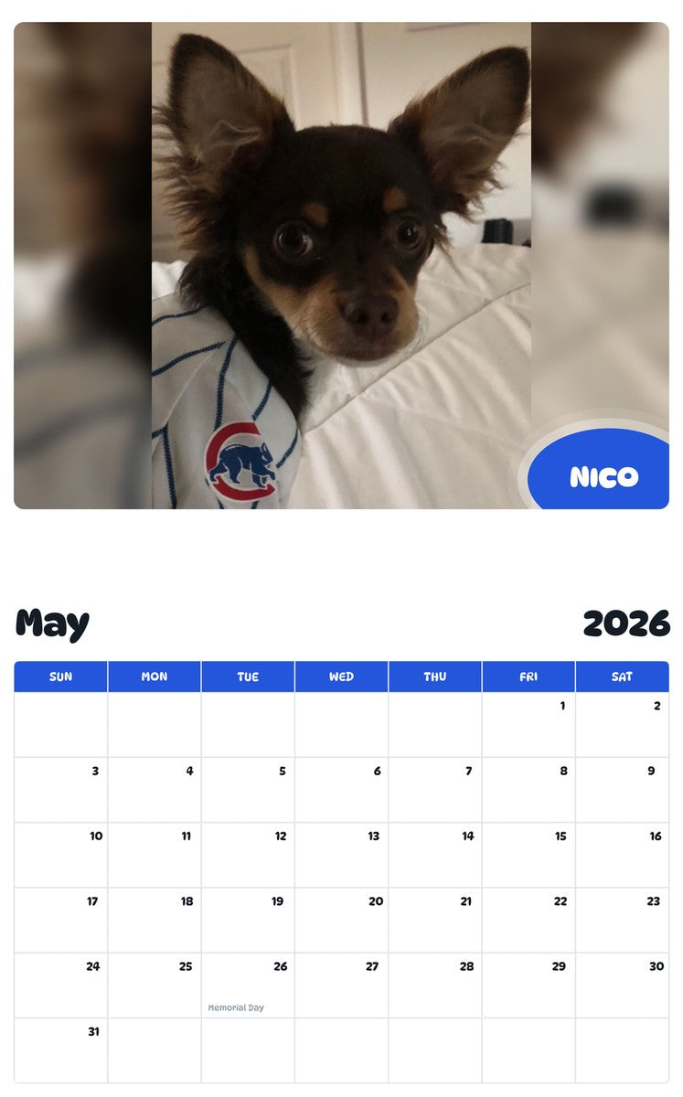 2026 - 2027 NICO - Pawidols Pet Calendar