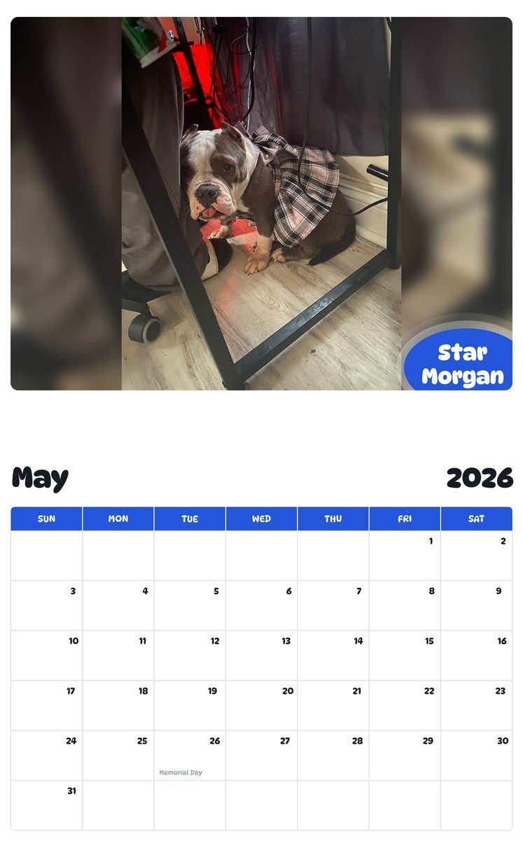 2026 - 2027 Star Morgan - Pawidols Pet Calendar