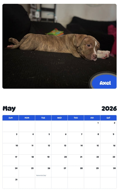 2026 - 2027 Axel - Pawidols Pet Calendar