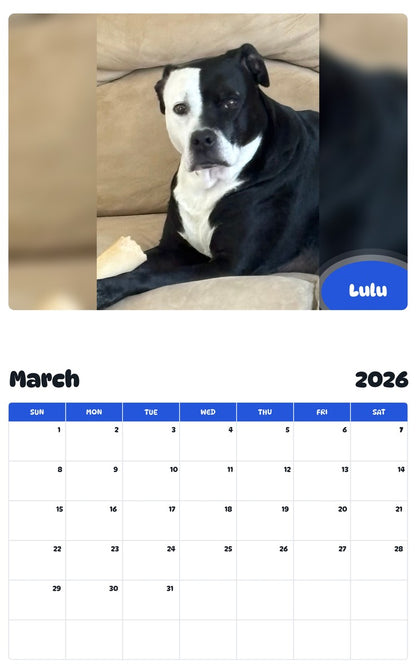 November 2025 - October 2026 Lulu - Pawidols Pet Calendar