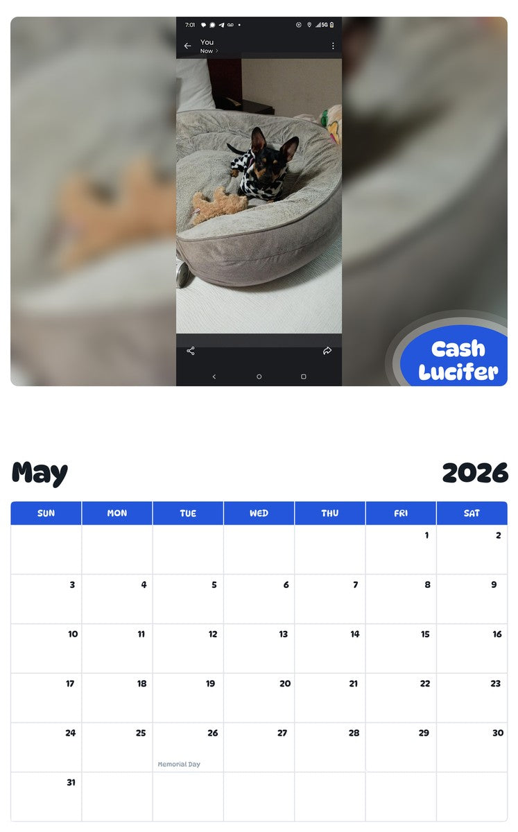 2026 - 2027 Cash Lucifer - Pawidols Pet Calendar