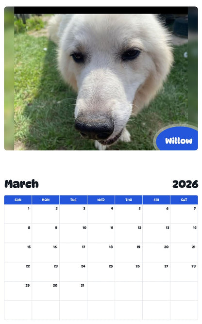 November 2025 - October 2026 Willow - Pawidols Pet Calendar