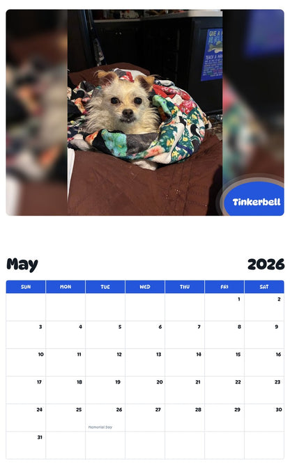2026 - 2027 Tinkerbell - Pawidols Pet Calendar