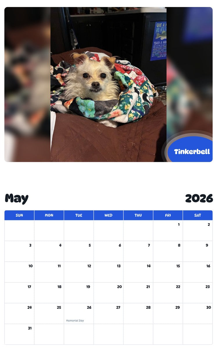 2026 - 2027 Tinkerbell - Pawidols Pet Calendar