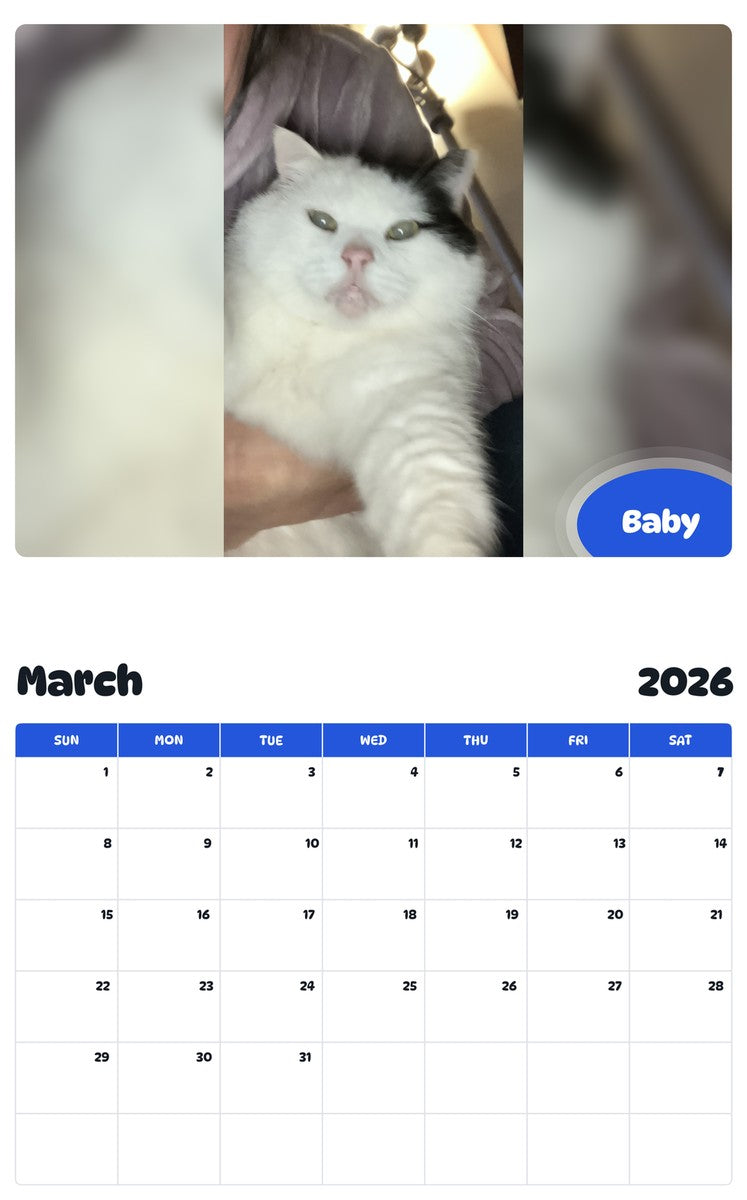 November 2025 - October 2026 Baby - Pawidols Pet Calendar
