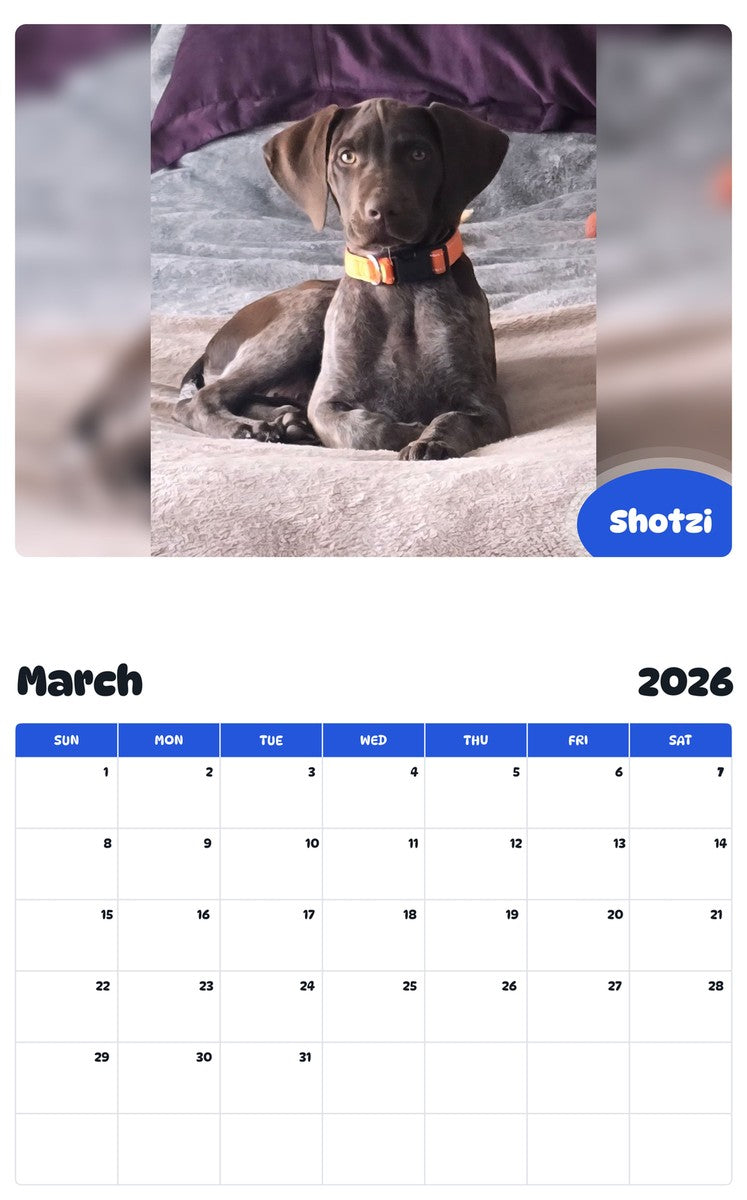 November 2025 - October 2026 Shotzi - Pawidols Pet Calendar