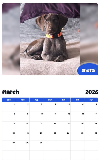November 2025 - October 2026 Shotzi - Pawidols Pet Calendar