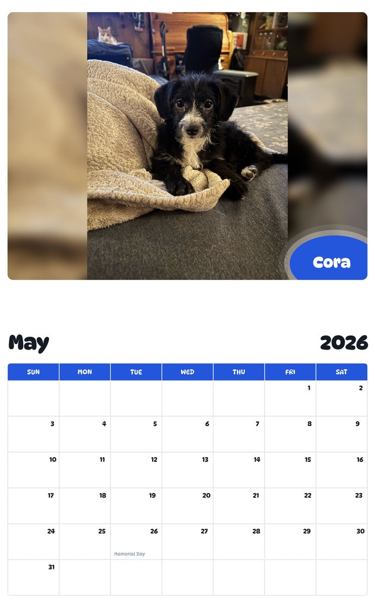 2026 - 2027 Cora - Pawidols Pet Calendar