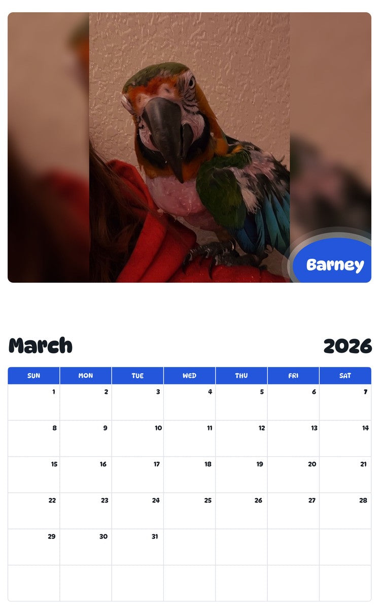 November 2025 - October 2026 Barney - Pawidols Pet Calendar