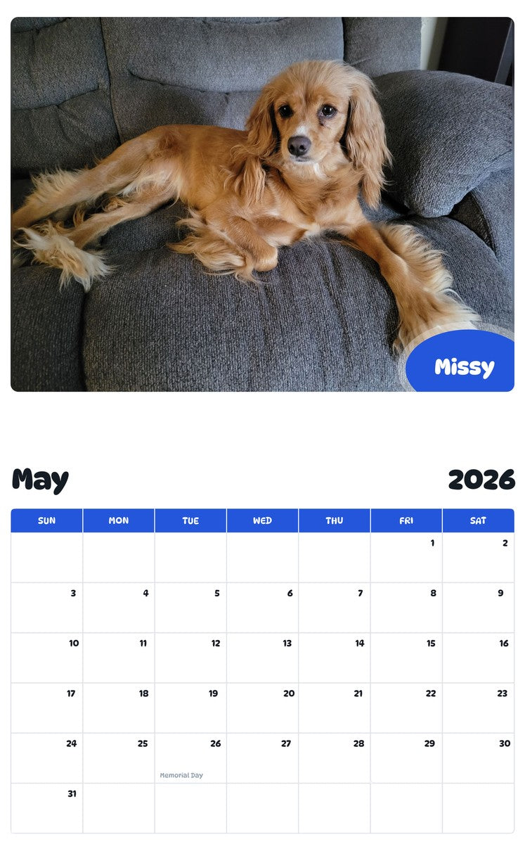 2026 - 2027 Missy - Pawidols Pet Calendar