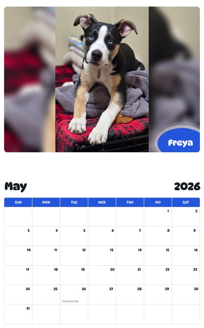 2026 - 2027 Freya - Pawidols Pet Calendar