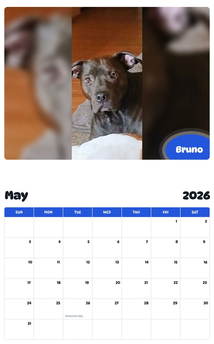 2026 - 2027 Bruno - Pawidols Pet Calendar