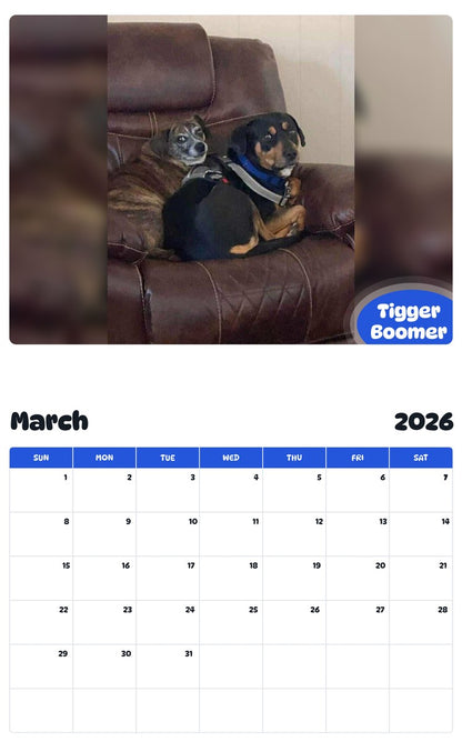 November 2025 - October 2026 Tigger Boomer - Pawidols Pet Calendar