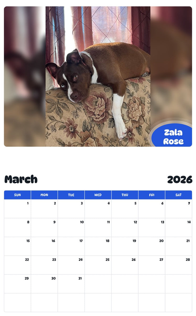 November 2025 - October 2026 Zala Rose - Pawidols Pet Calendar