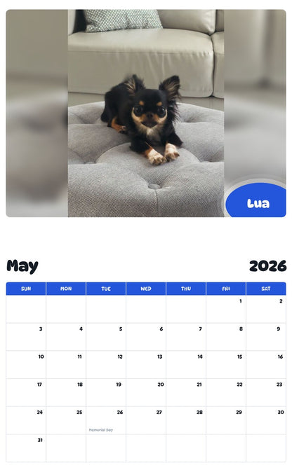 2026 - 2027 Lua - Pawidols Pet Calendar