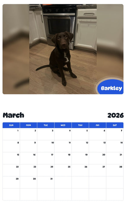 November 2025 - October 2026 Barkley - Pawidols Pet Calendar