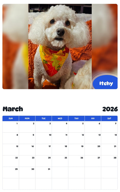 November 2025 - October 2026 Itchy - Pawidols Pet Calendar