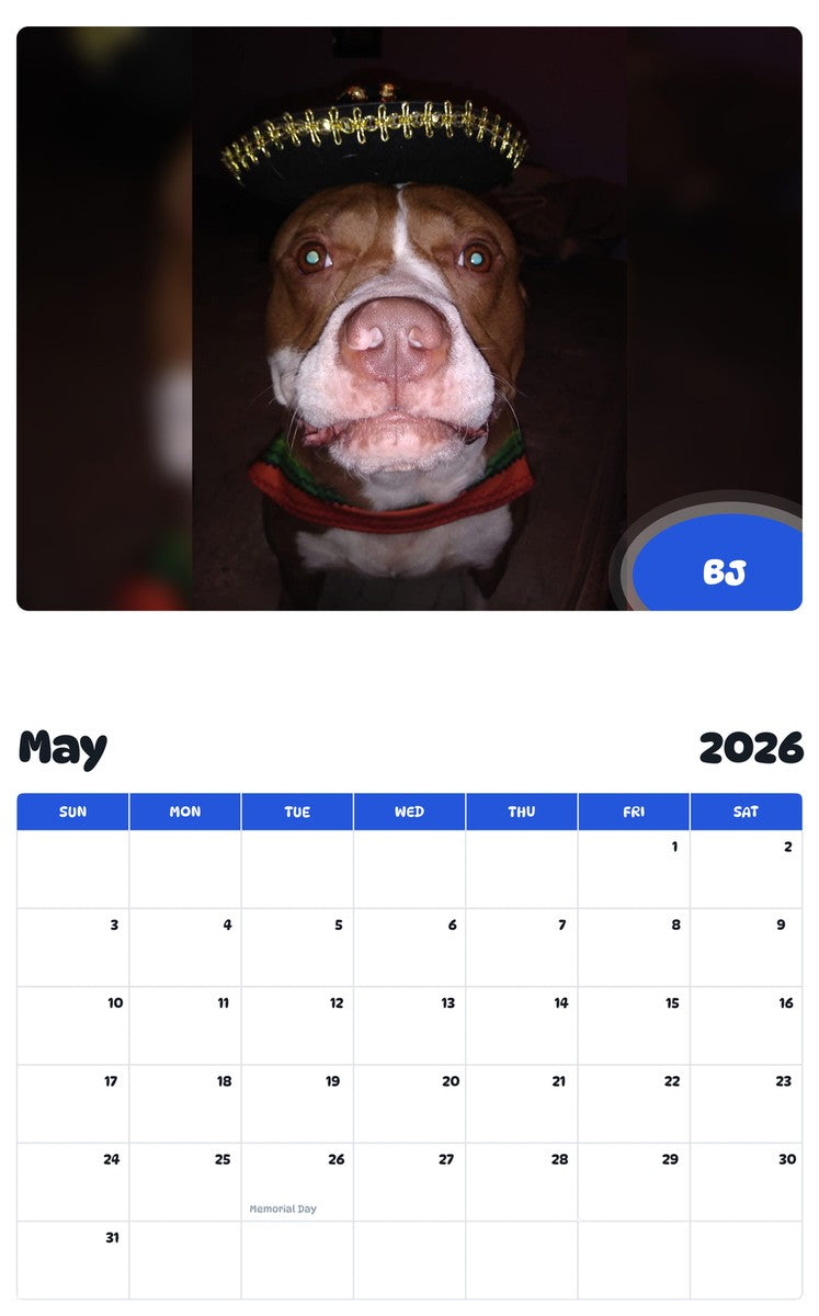 2026 - 2027 BJ - Pawidols Pet Calendar