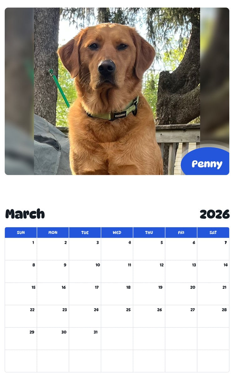 November 2025 - October 2026 Penny - Pawidols Pet Calendar