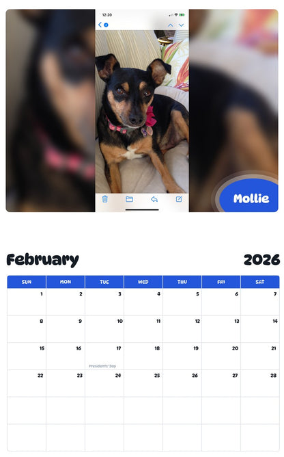 October 2025 - September 2026 Mollie - Pawidols Pet Calendar