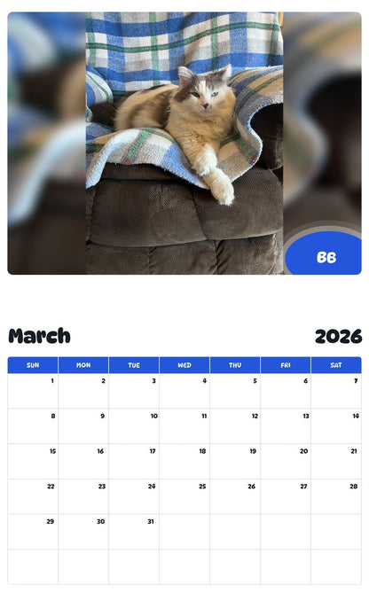 November 2025 - October 2026 BB - Pawidols Pet Calendar