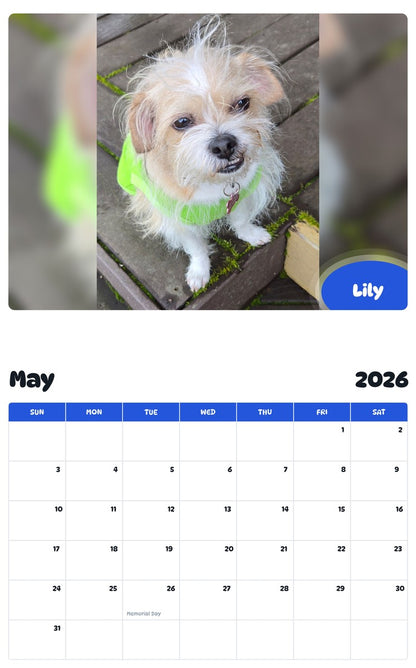 2026 - 2027 Lily - Pawidols Pet Calendar