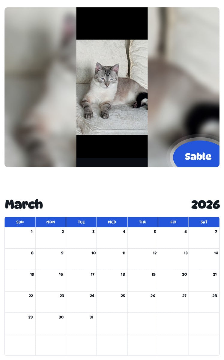 November 2025 - October 2026 Sable - Pawidols Pet Calendar