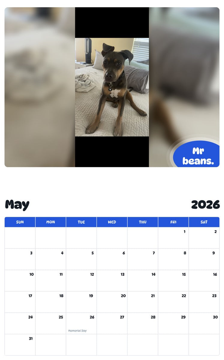 2026 - 2027 Mr beans. - Pawidols Pet Calendar