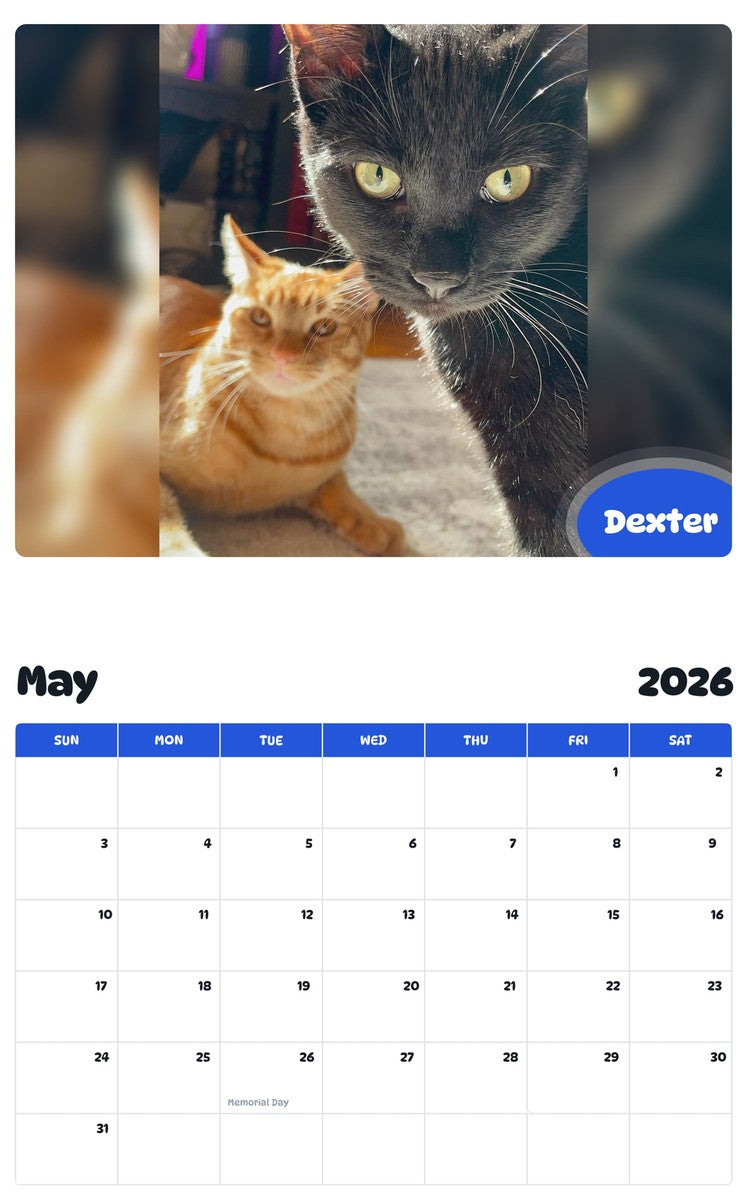 2026 - 2027 Dexter - Pawidols Pet Calendar
