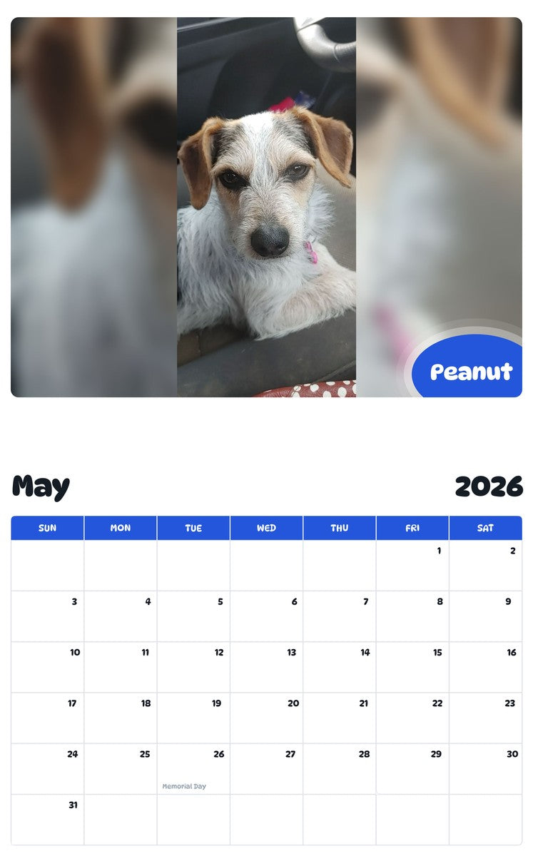2026 - 2027 Peanut - Pawidols Pet Calendar