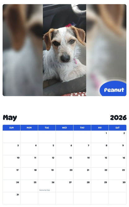 2026 - 2027 Peanut - Pawidols Pet Calendar