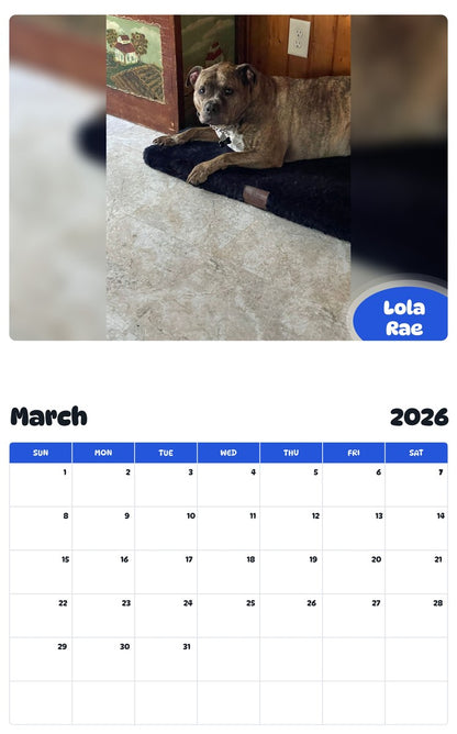 November 2025 - October 2026 Lola Rae - Pawidols Pet Calendar