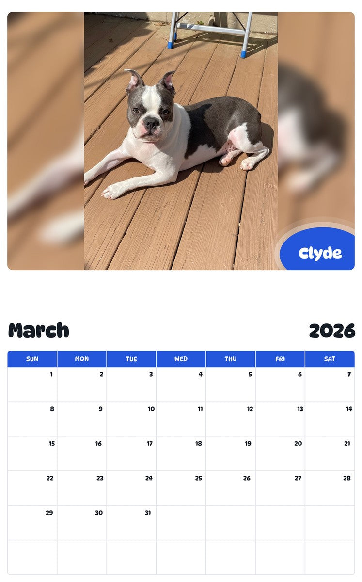 November 2025 - October 2026 Clyde - Pawidols Pet Calendar