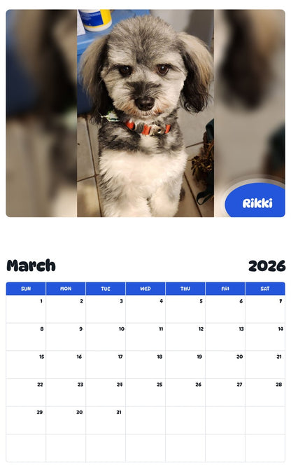 November 2025 - October 2026 Rikki - Pawidols Pet Calendar