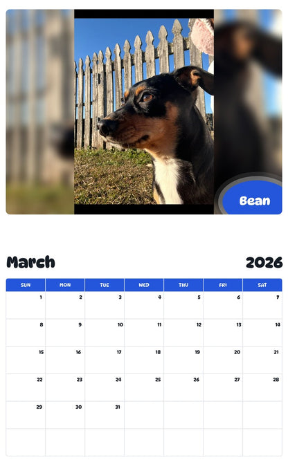 November 2025 - October 2026 Bean - Pawidols Pet Calendar
