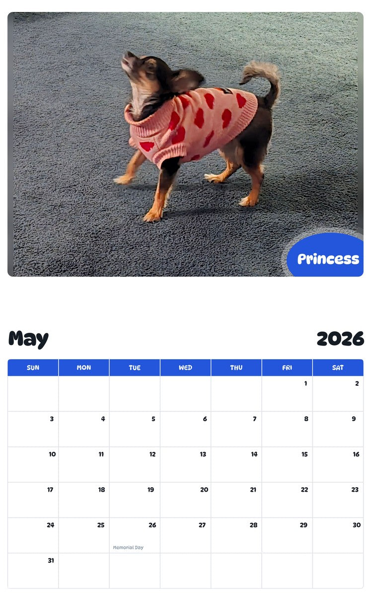 2026 - 2027 Princess - Pawidols Pet Calendar