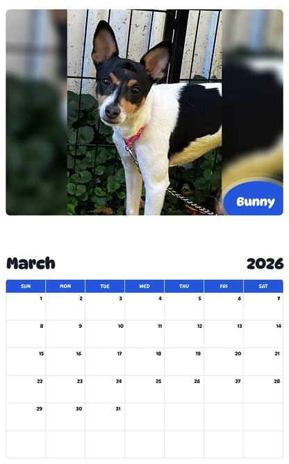 November 2025 - October 2026 Bunny - Pawidols Pet Calendar