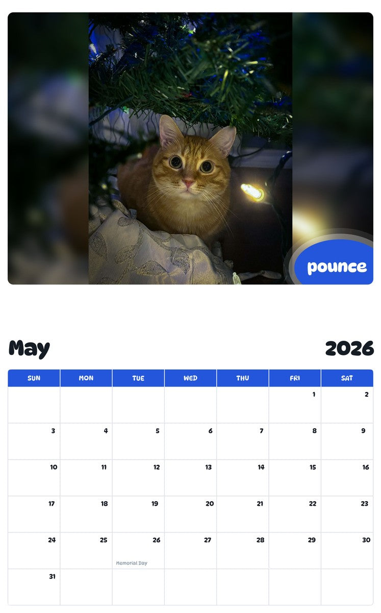 2026 - 2027 pounce - Pawidols Pet Calendar