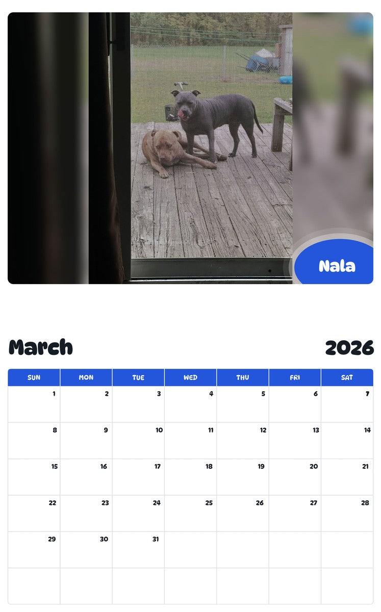 November 2025 - October 2026 Nala - Pawidols Pet Calendar
