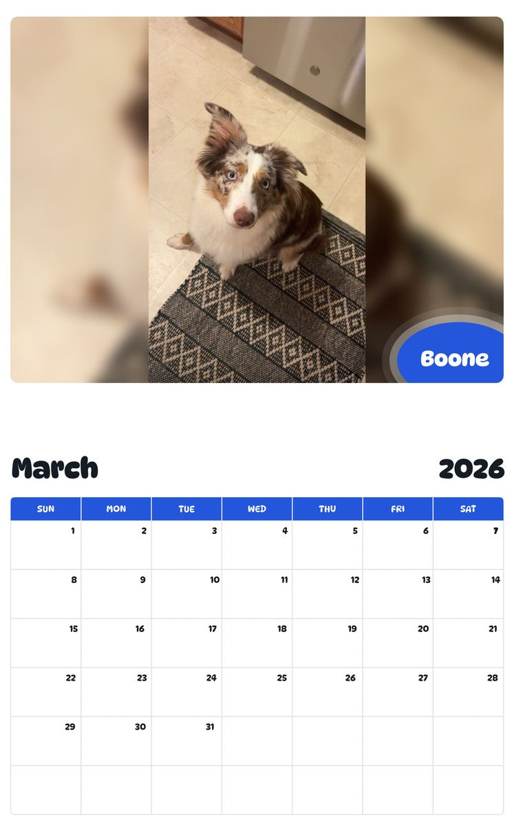 November 2025 - October 2026 Boone - Pawidols Pet Calendar