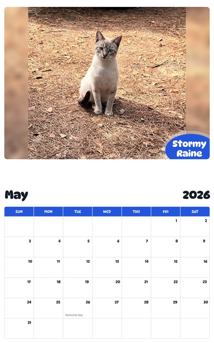 2026 - 2027 Stormy Raine - Pawidols Pet Calendar