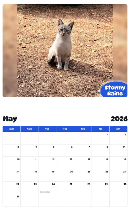 2026 - 2027 Stormy Raine - Pawidols Pet Calendar
