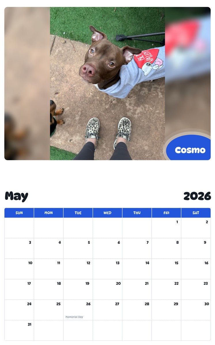 2026 - 2027 Cosmo - Pawidols Pet Calendar