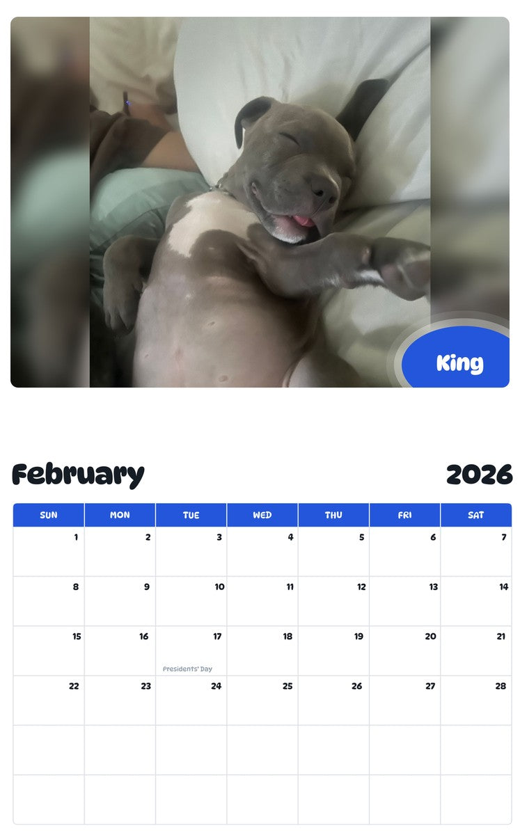 November 2025 - October 2026 King - Pawidols Pet Calendar