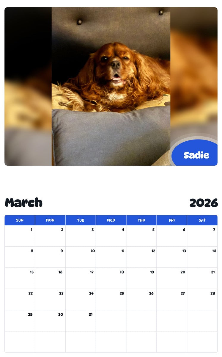 November 2025 - October 2026 Sadie - Pawidols Pet Calendar