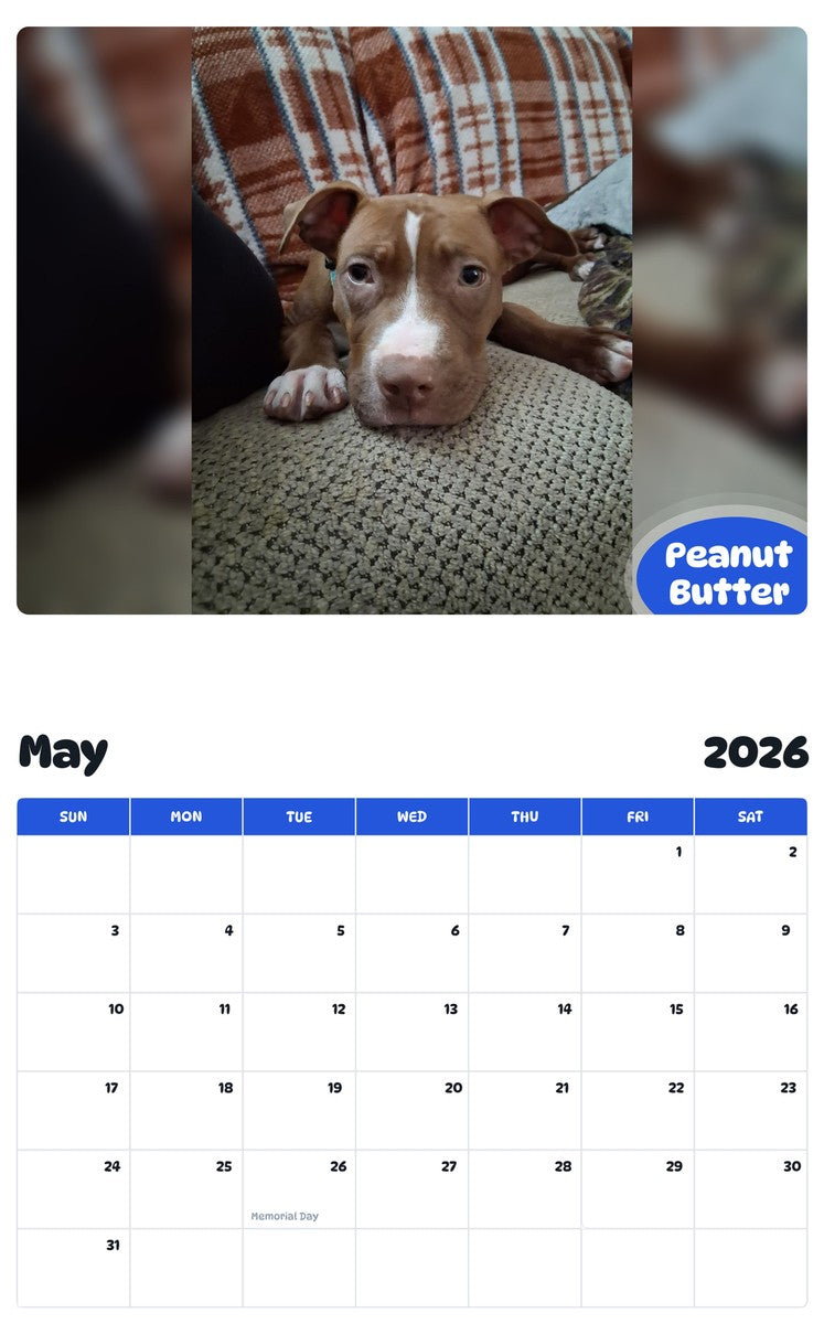 2026 - 2027 Peanut Butter - Pawidols Pet Calendar