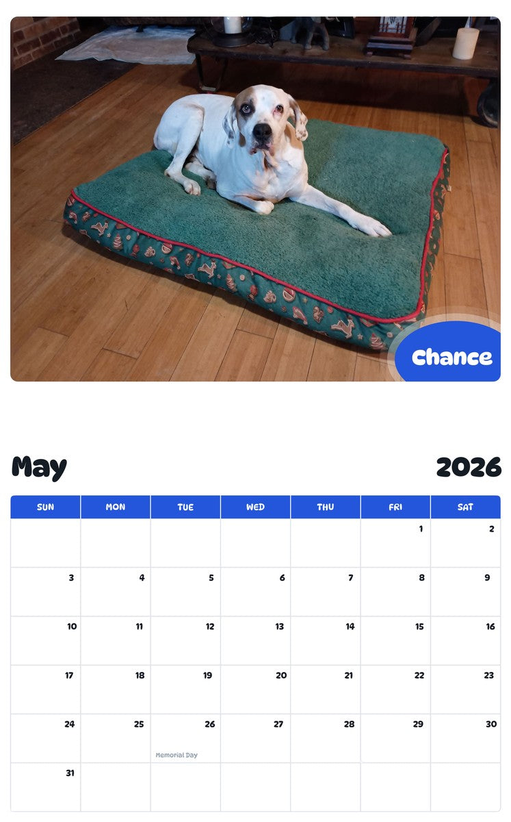 2026 - 2027 Chance - Pawidols Pet Calendar